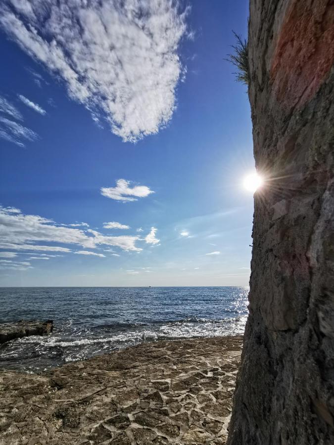 Nina Deluxe Superior 5 Star Apartment, Your Piece Of Heaven By The Sea & Park Novigrad Istria Exterior foto